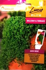 Corsican Mini Mint Herb Seeds